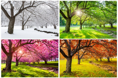 Seniors adapt to seasonal changes for better health and comfort.
